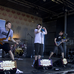 Ruisrock 2015 | Apina (187/280)